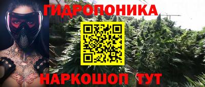 стафф Волгодонск