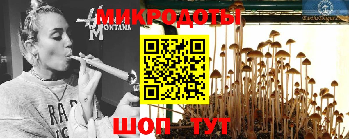Моздок  Галлюциногенные грибы Psilocybe  купить   Вход с VPN  Псилоцибиновые грибы Psilocybine cubensis 